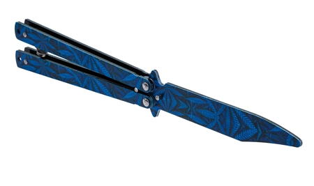 Motylek treningowy, SIMPLY, Miami