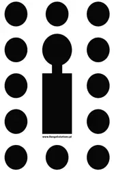 Tarcze strzeleckie T4 Bulinek - 50szt