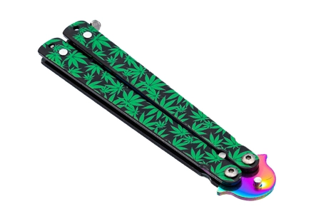 Motylek treningowy ganja rainbow