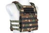 Kamizelka taktyczna Specna Arms Tactical typu Plate Carrier z panelem szturmowym Woodland