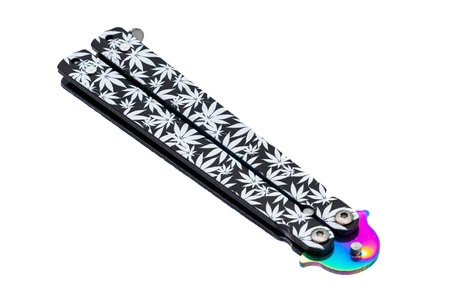 Motylek treningowy ganja rainbow