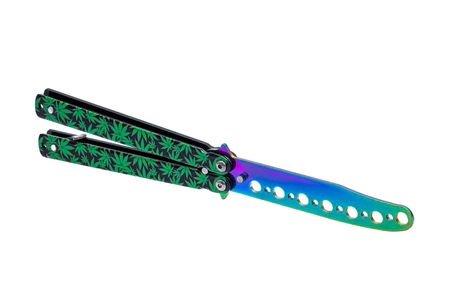 Motylek treningowy ganja rainbow