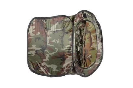 Kulochwyt Polowy - woodland