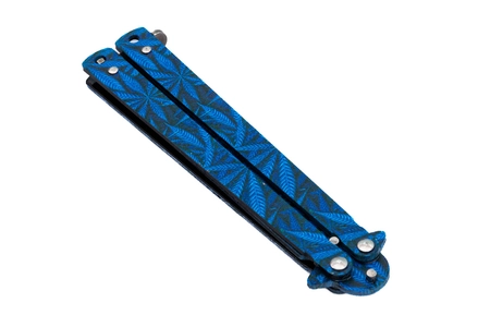 Motylek treningowy, SIMPLY, Miami