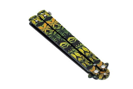 Motylek treningowy, new series Colorado