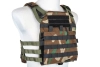 Kamizelka taktyczna Specna Arms Tactical typu Plate Carrier z panelem szturmowym Woodland