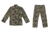 Komplet mundurowy Primal ACU - wz.93 Pantera Leśna